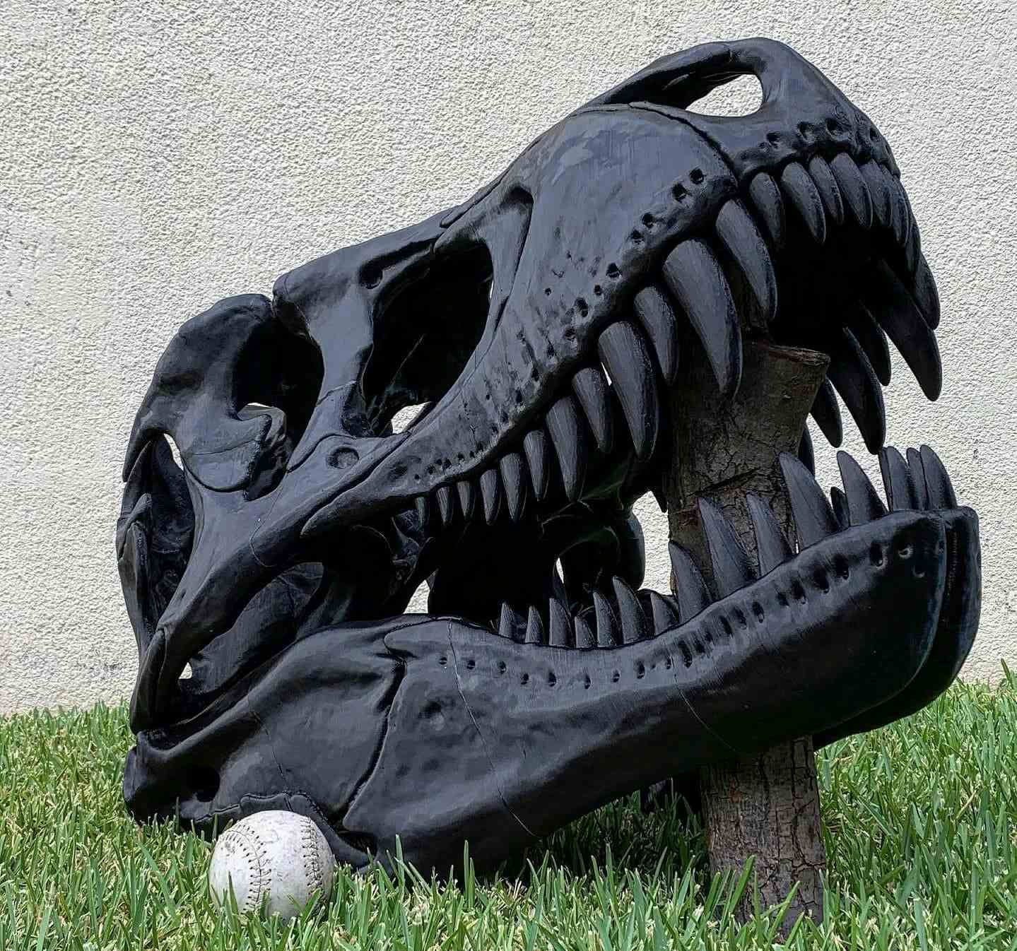 Cráneo de T-Rex