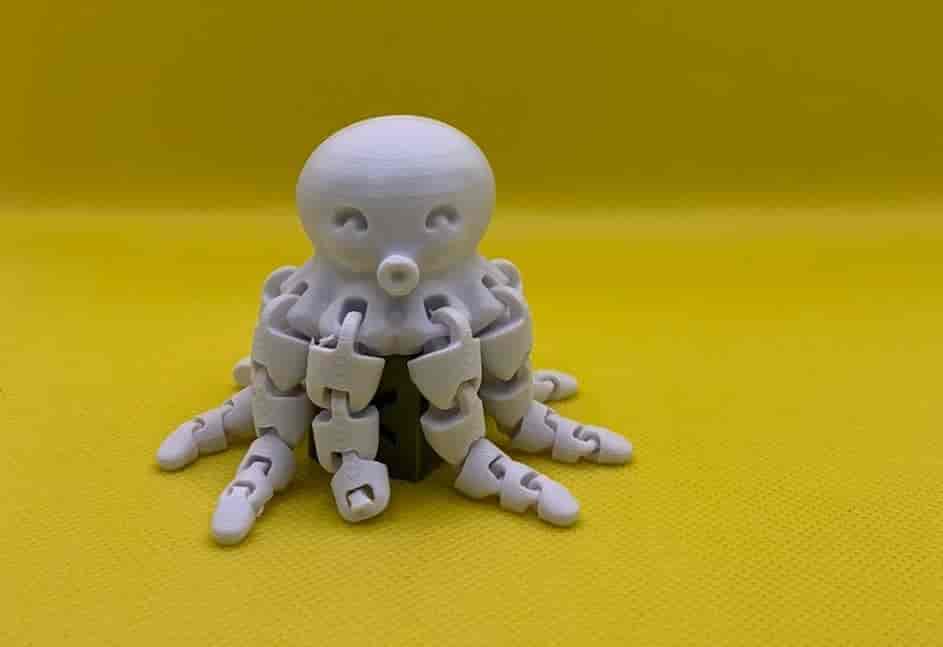 Pulpo