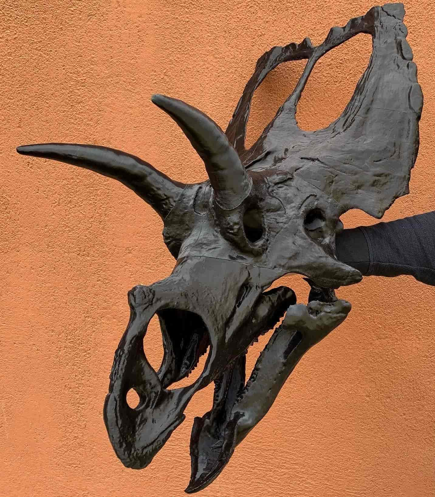 Tricératops